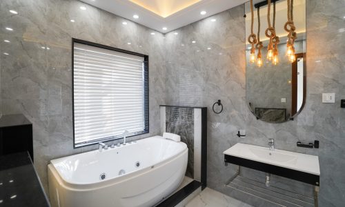New Modern Washroom with Jacuzzi